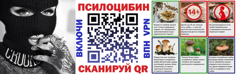 закладка  Карачаевск  Галлюциногенные грибы Psilocybine cubensis 