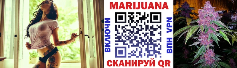 Бошки Шишки марихуана  Карачаевск 